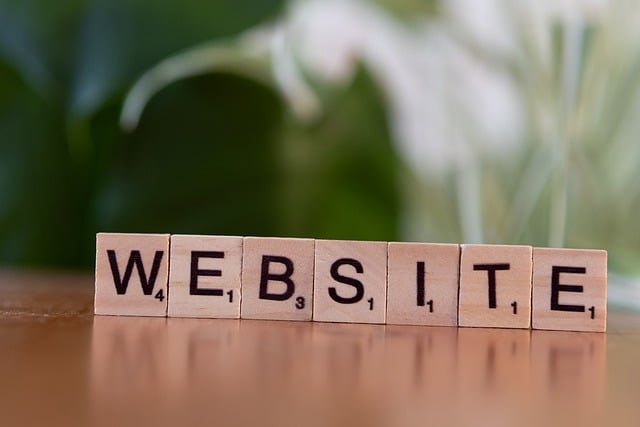 tvorba webu